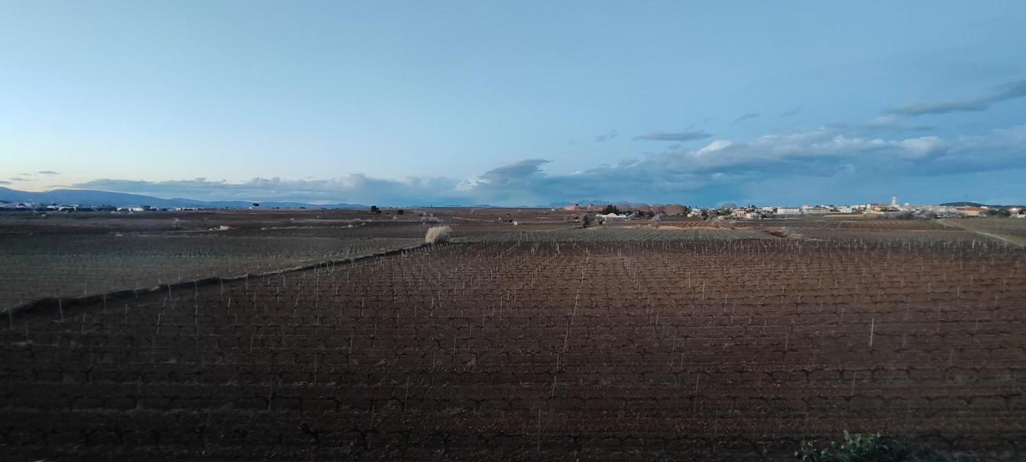 Willa Cal Llop Sant Cugat de Sesgarrigues Zewnętrze zdjęcie