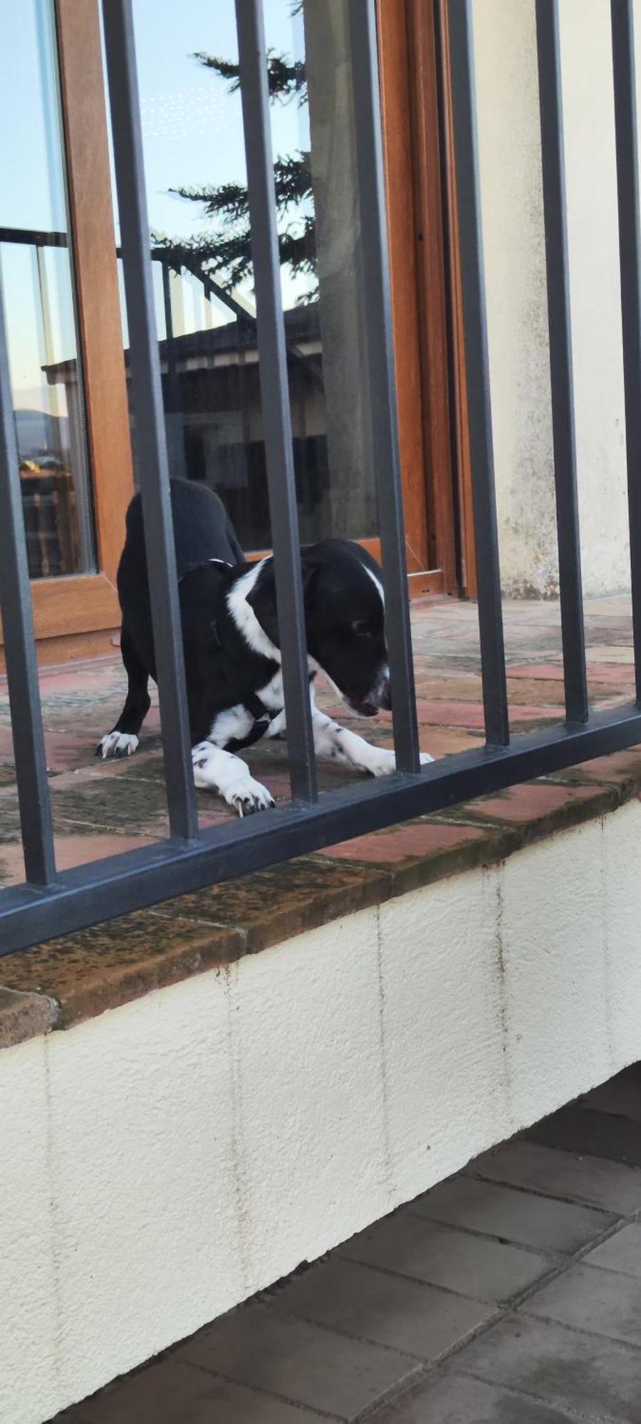 Willa Cal Llop Sant Cugat de Sesgarrigues Zewnętrze zdjęcie