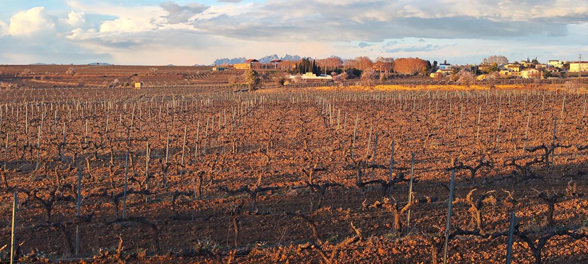 Willa Cal Llop Sant Cugat de Sesgarrigues Zewnętrze zdjęcie